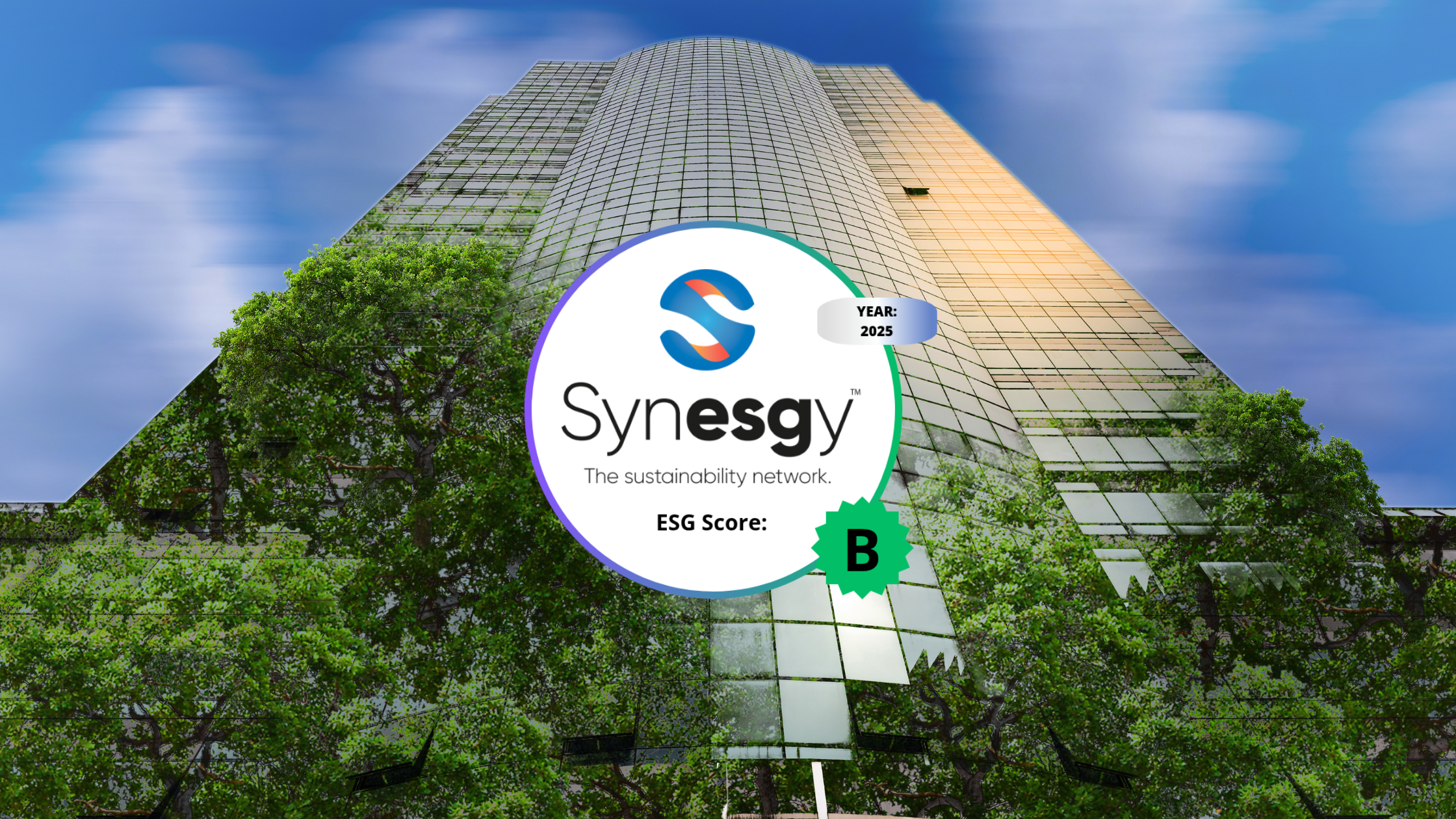 Synesgy score Hyntelo